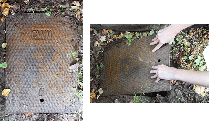 Locate Your Water Meter - Grass Clipart (750x500), Png Download