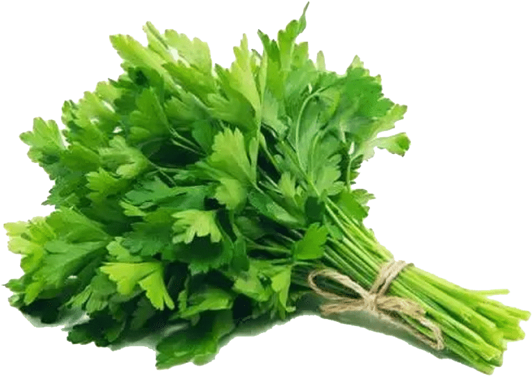 Demet Maydanoz , Png Download - Fresh Parsley Flat Clipart (765x542), Png Download