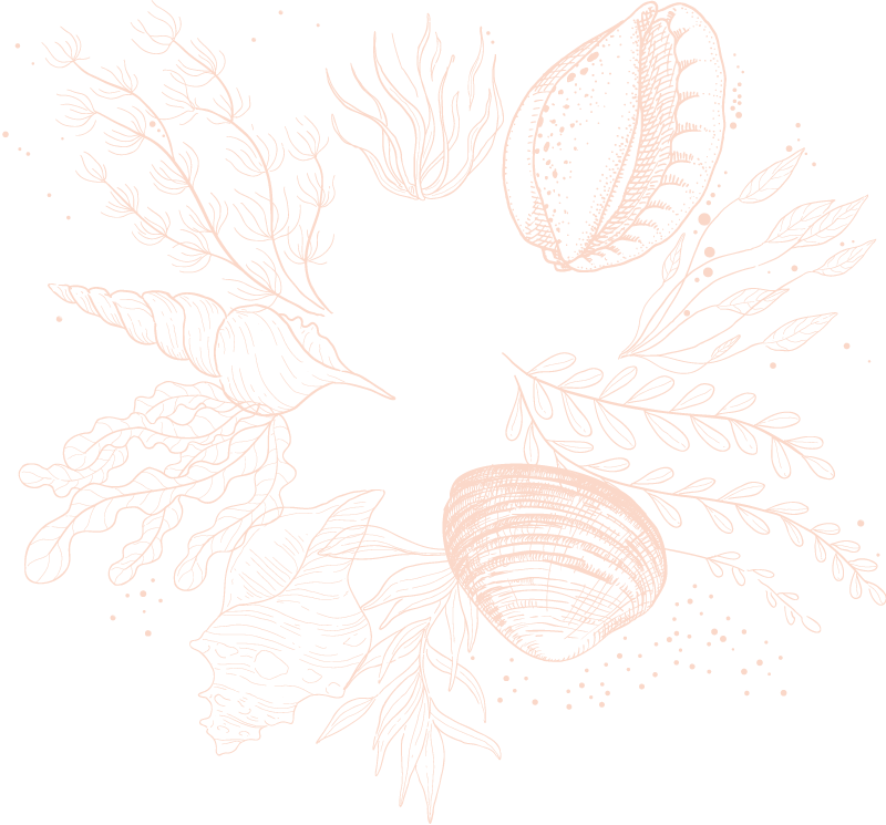 Sketch Clipart (800x745), Png Download