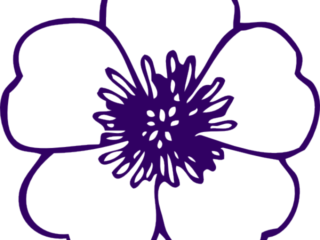 Purple Rose Clipart Leaf Outline - Buttercup Clipart - Png Download (640x480), Png Download