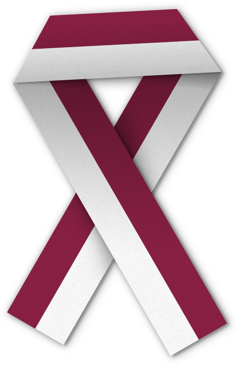 White Ribbon , Png Download Clipart (478x730), Png Download