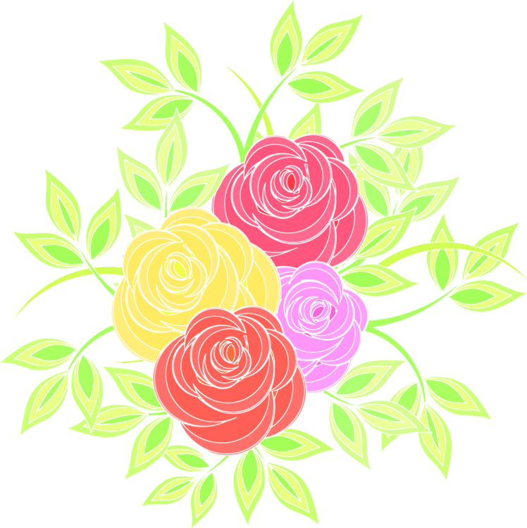Garden Roses Cabbage Rose Pink Cut Flowers Sweet Scented - Floribunda Clipart (748x750), Png Download