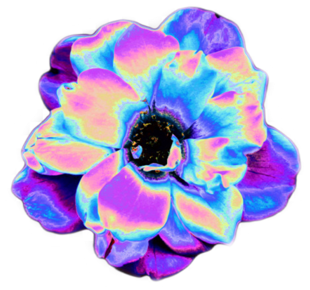 Psychedelic Sticker Clipart (1024x958), Png Download