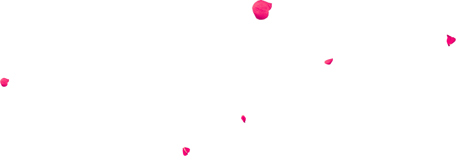 Our Mission - Enfeites Png Clipart (1535x527), Png Download