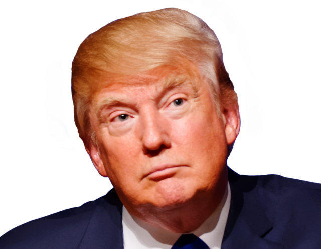 Why Is Trump Orange - Donald Trump Clipart (640x498), Png Download