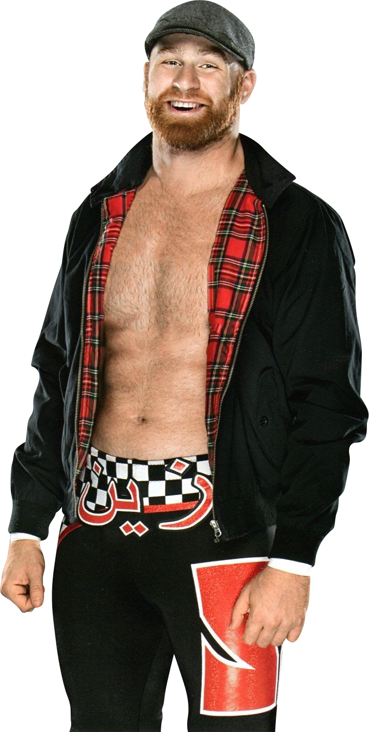 Sami Zayn - Wwe Sami Zayn Png 2017 Clipart (721x1430), Png Download