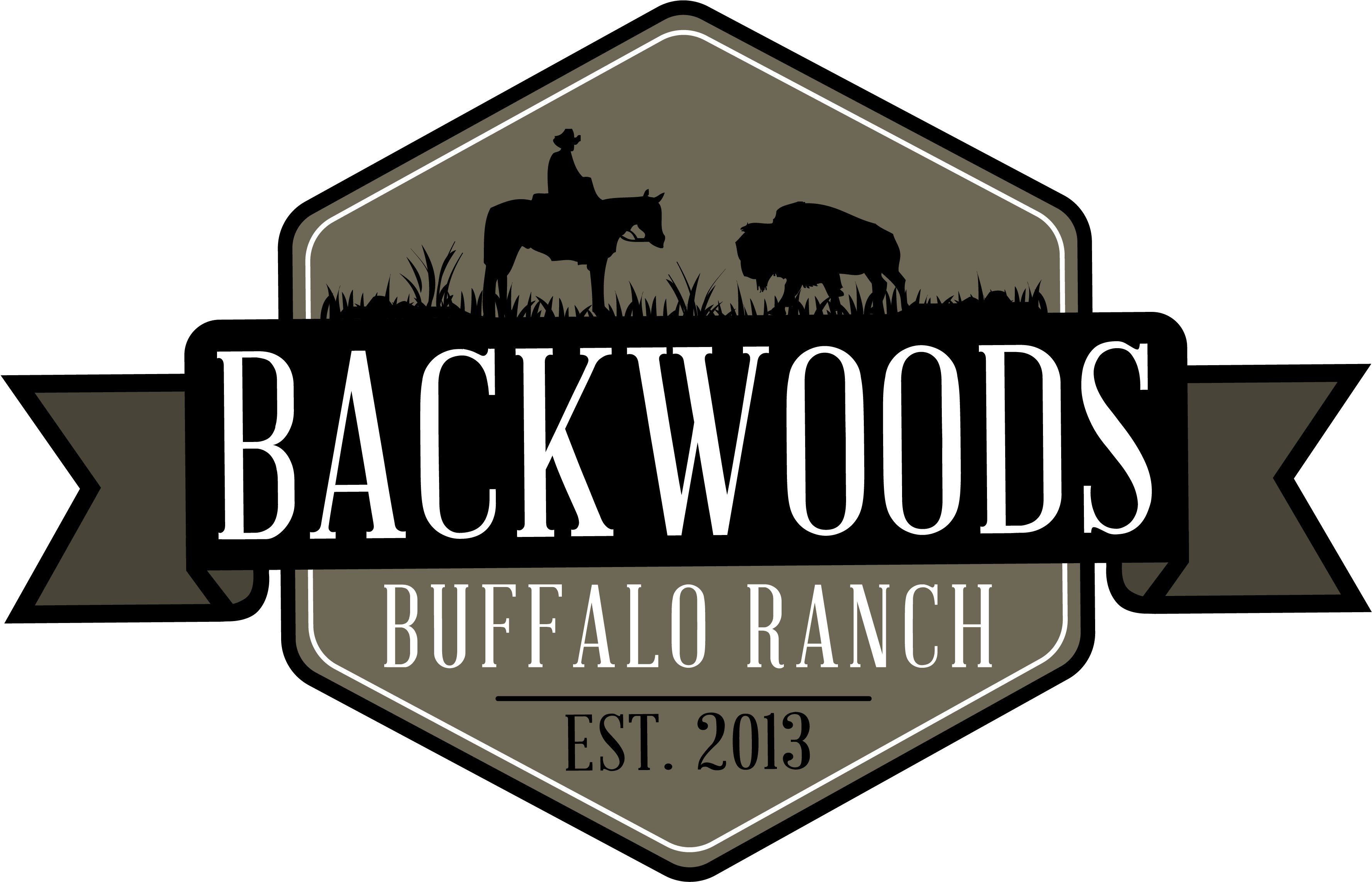 Cropped-bwbr Logo 1 - Indian Elephant Clipart (3674x2803), Png Download