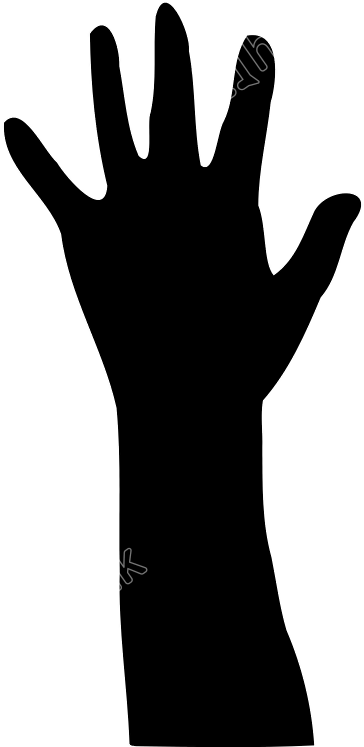 700 X 800 2 - Clip Art - Png Download (700x800), Png Download