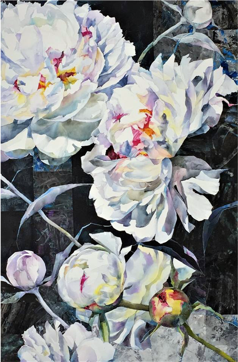 Common Peony Clipart (1200x1200), Png Download