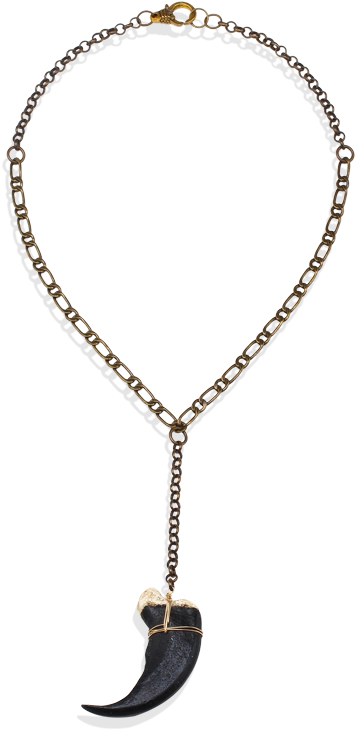 Black Bear Claw Necklace Clipart (800x800), Png Download