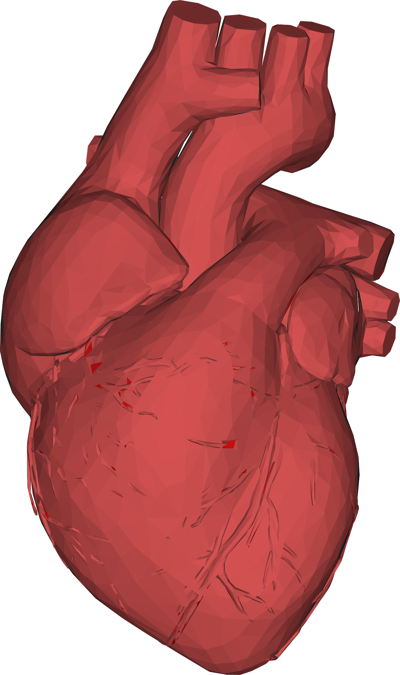 Low Poly 3d Heart Red Png Black And White - 3d Human Heart Images Png Clipart (1358x2292), Png Download