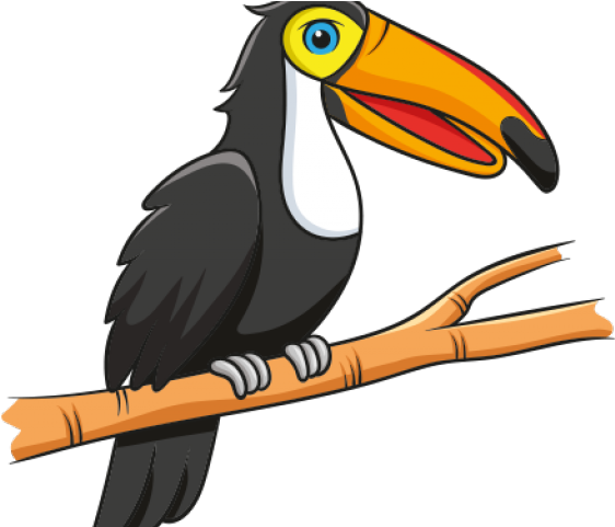 Toucan Clipart Real - Png Download (640x480), Png Download