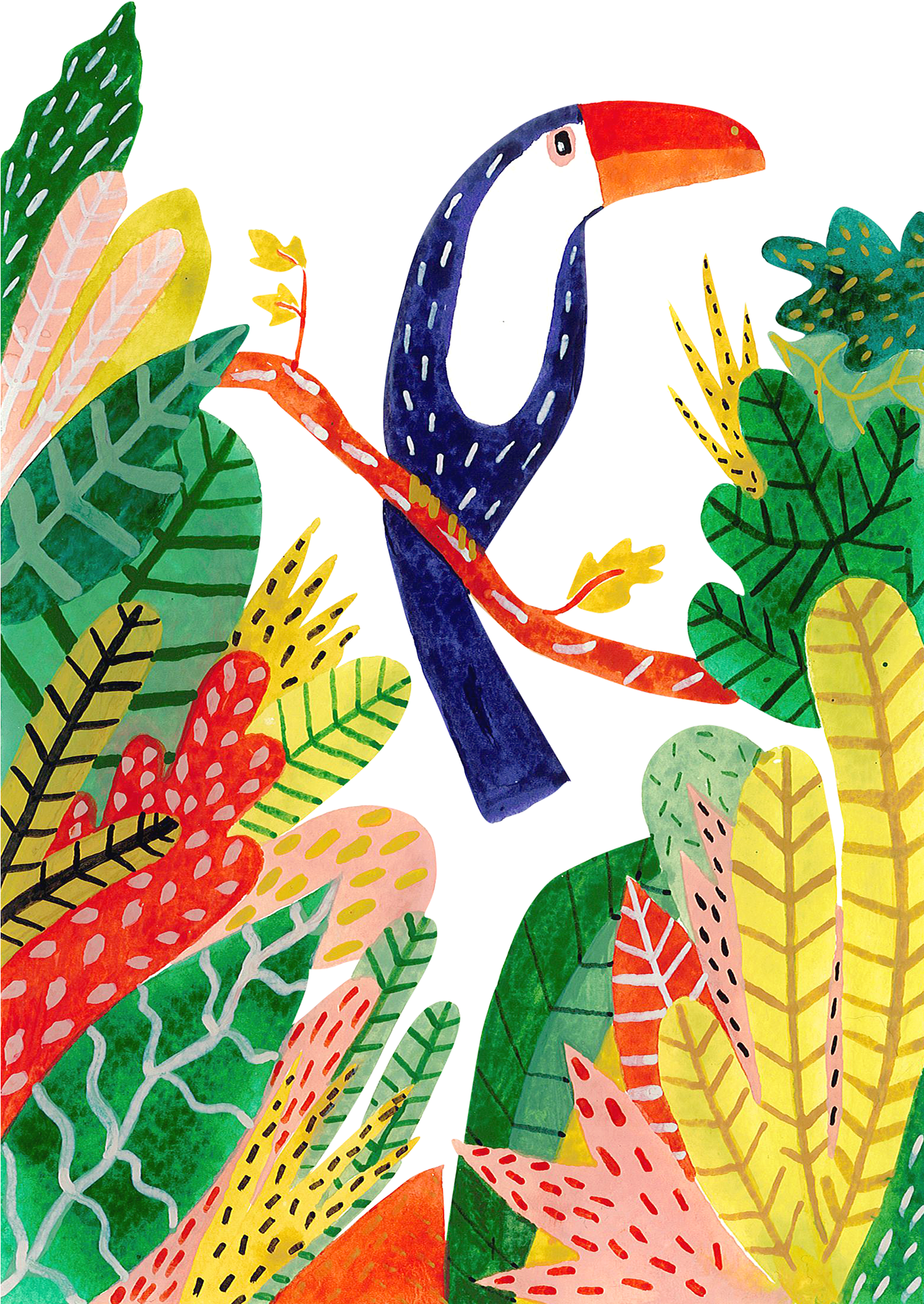 Toucan , Png Download Clipart (1401x1976), Png Download