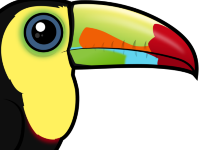 Toucan Clipart Cute Baby - Toucan - Png Download (640x480), Png Download