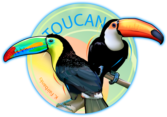 723 X 524 3 - Color Toucan Bird Drawing Clipart (723x524), Png Download
