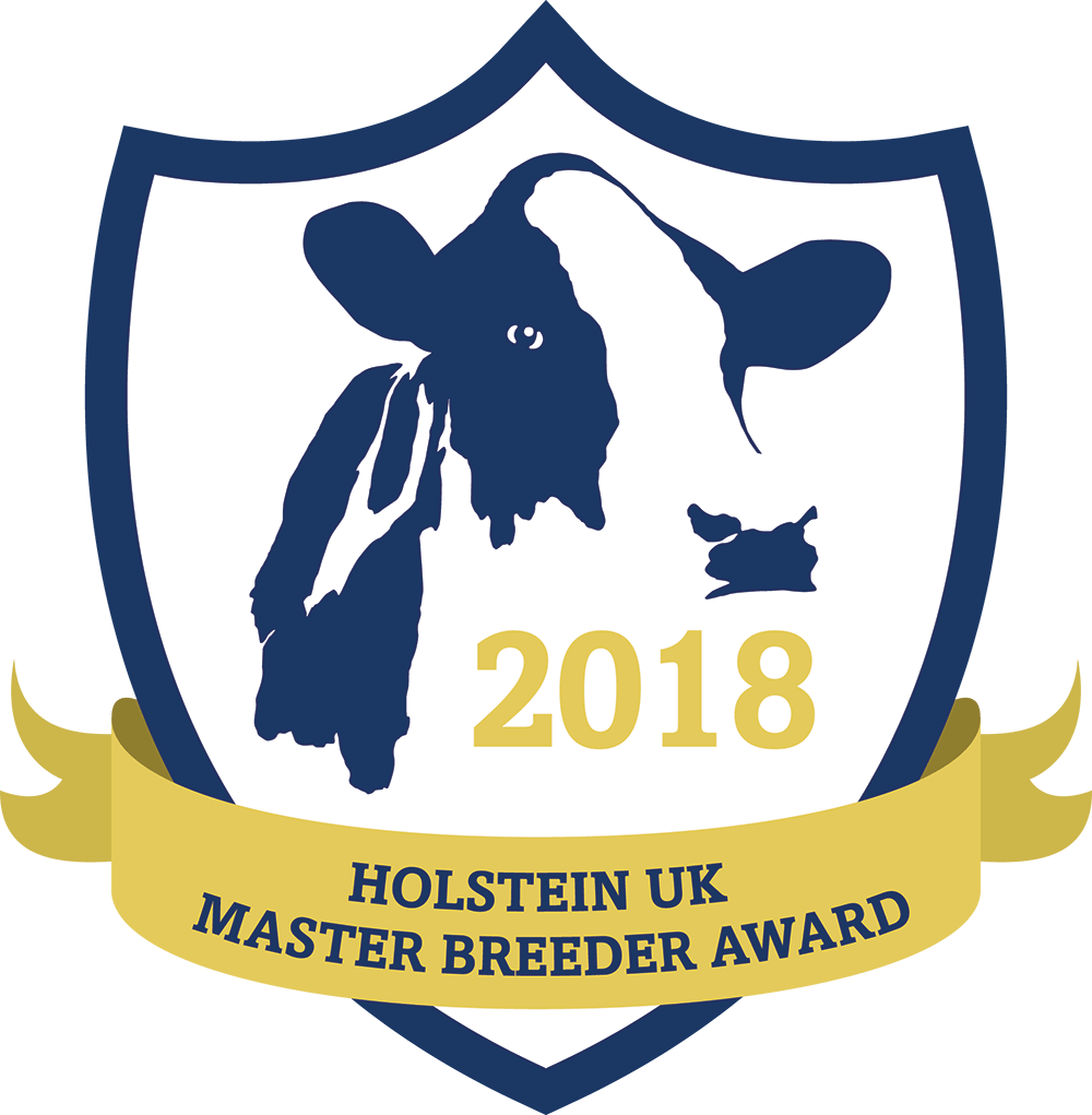 Holstein Cow Stencil Clipart (1000x1021), Png Download