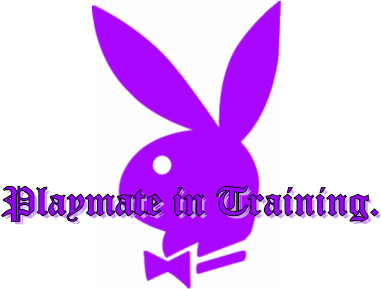Playboy Playmate Photo - Domestic Rabbit Clipart (800x619), Png Download