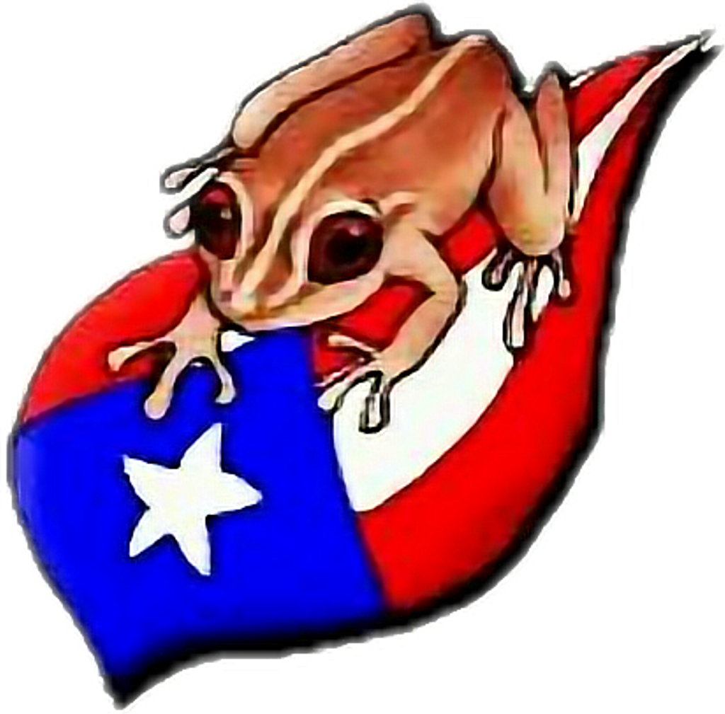 #puertorico Bandera Coqui - Dibujo De Un Coqui Clipart (1024x1009), Png Download