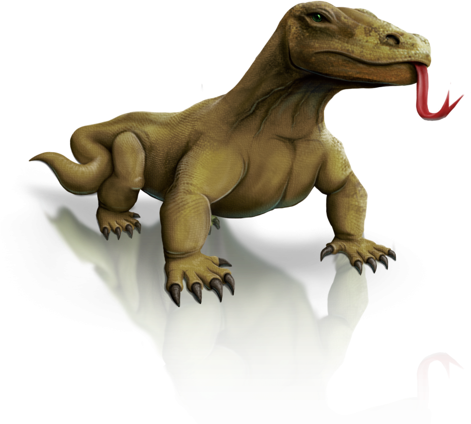 Komodo - Komodo Dragon Clipart Png Transparent Png (1014x1024), Png Download
