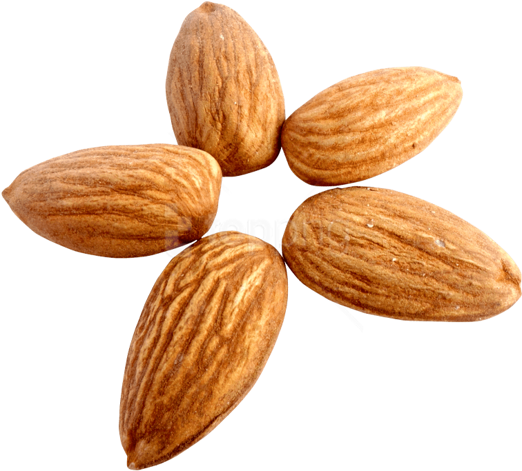 Free Png Download Almond Png Images Background Png - Almond Transparent Background Clipart (850x780), Png Download