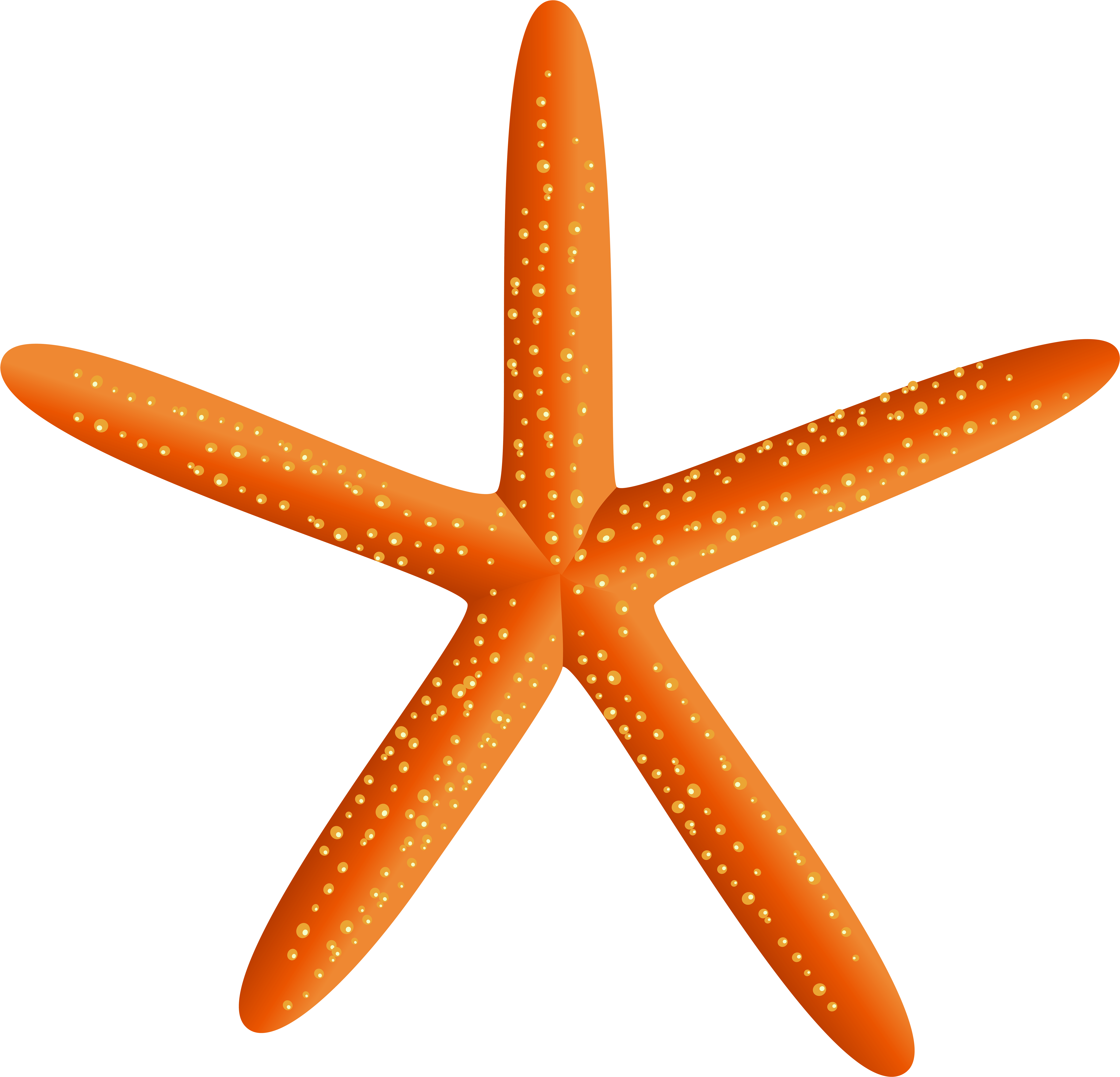 Png Clip Art Transparent Png (8000x7672), Png Download