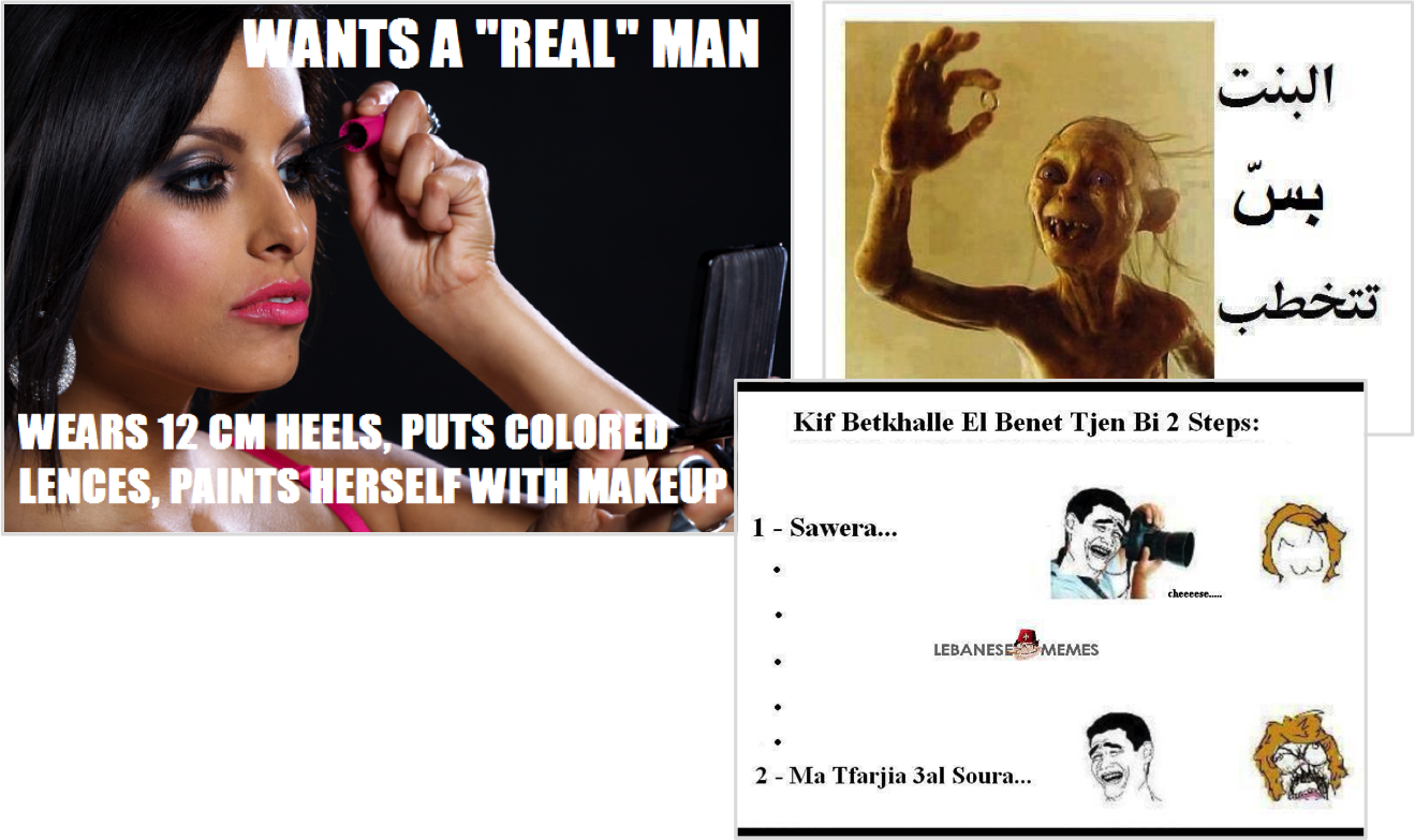 Leo Bites - Lebanese Memes Clipart (1319x783), Png Download