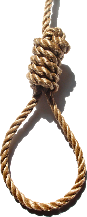Horse Suicide Rope Knot Hanging Noose Grass Clipart - Death Rope Png Transparent Png (500x746), Png Download