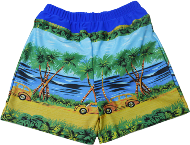 Special Needs Youth Swim Diaper Trunks - Board Short Clipart (643x798), Png Download