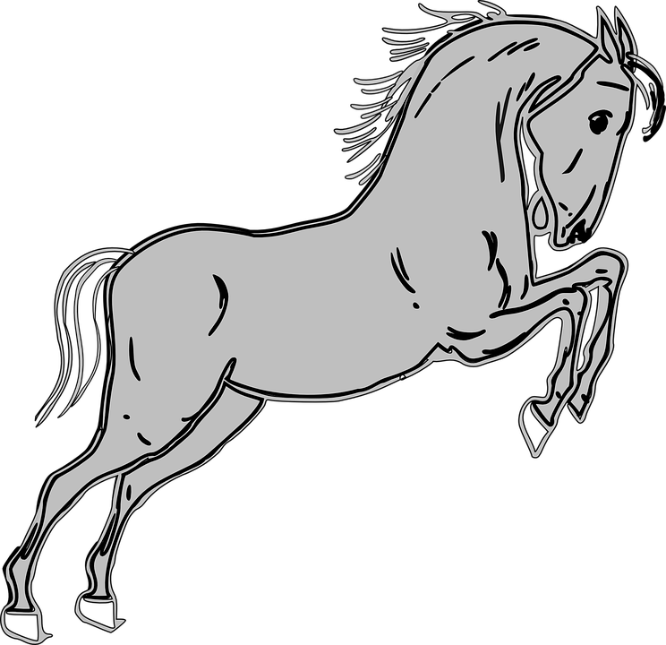 Pony Clipart Grey Horse - Horse Clip Art - Png Download (744x720), Png Download