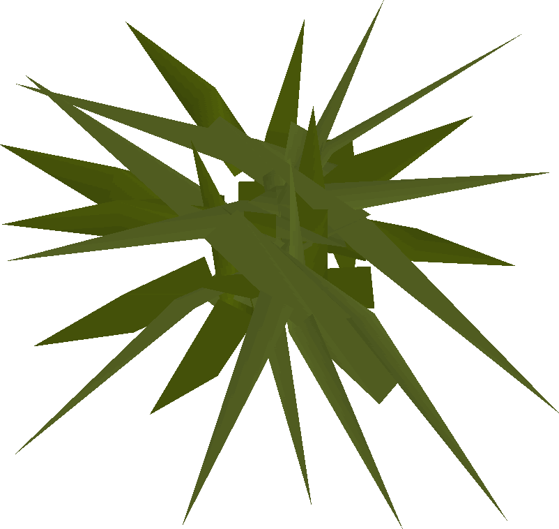 Runescape Weeds Clipart (802x758), Png Download