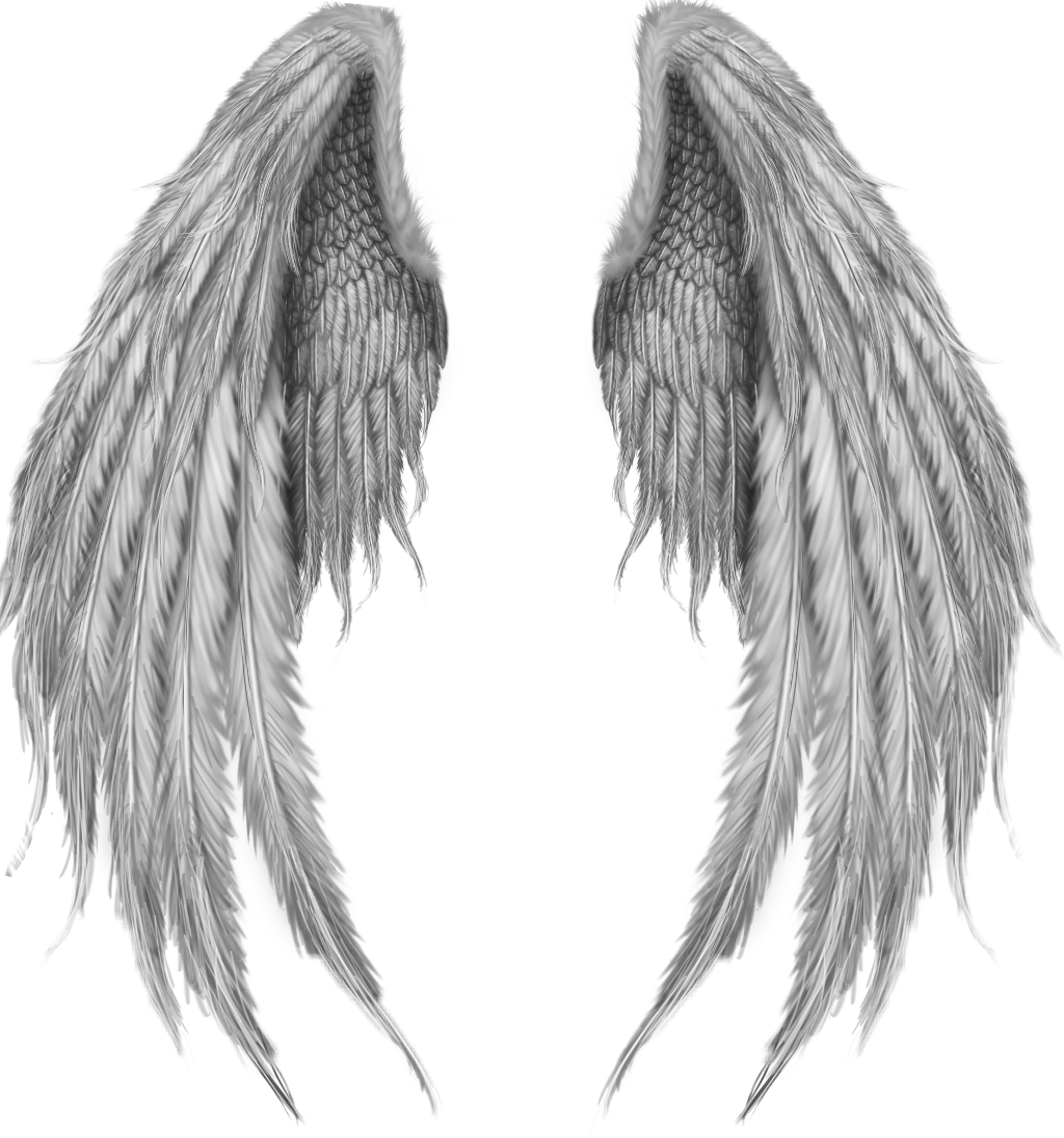 #alas #angel #angels #alasdeangel - Fantasy Wings Clipart (1024x1095), Png Download