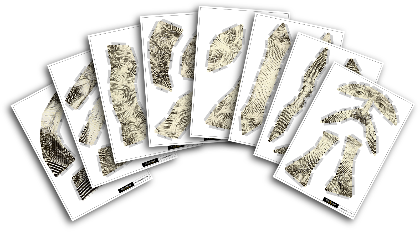 Package Front Cover Package Back Cover Us $2 Bill- - Motif Clipart (1598x884), Png Download