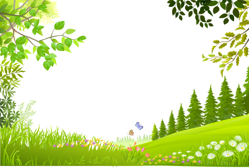 Plants Nature Material Trees Green Grass Cartoon Clipart - Green Grass Background Clipart - Png Download (800x540), Png Download
