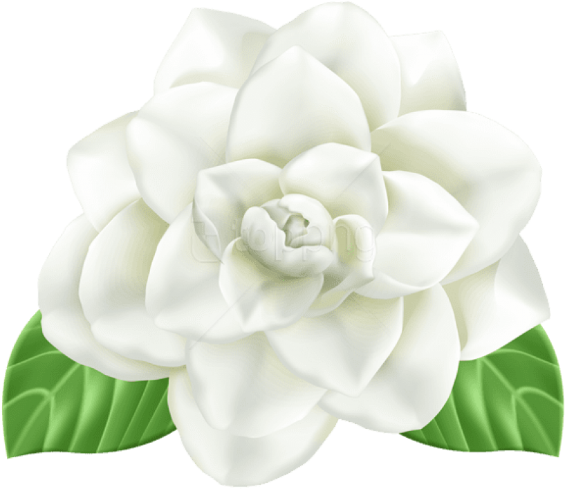Free Png Download Flower Png Images Background Png - Artificial Flower Clipart (850x726), Png Download