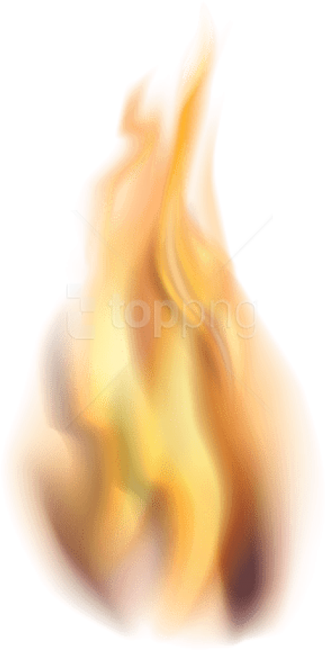 Free Png Fire Png Images Transparent - Close-up Clipart (480x945), Png Download