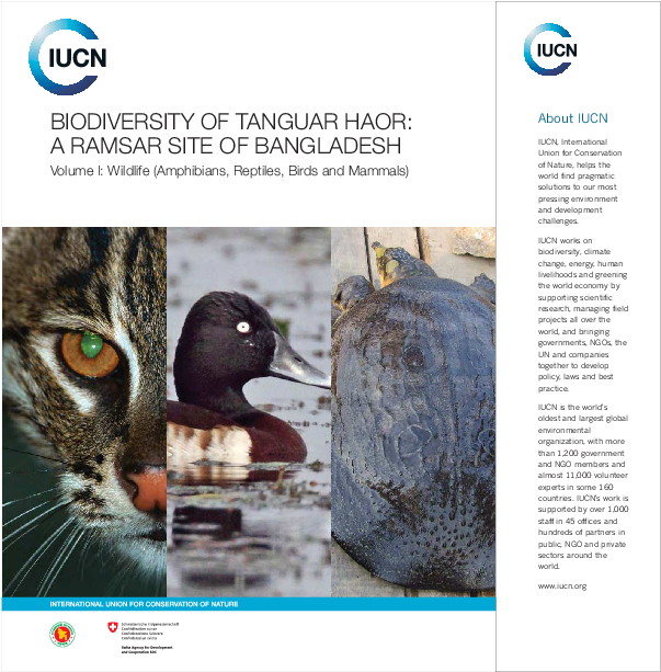 Pdf - Domestic Short-haired Cat Clipart (792x612), Png Download