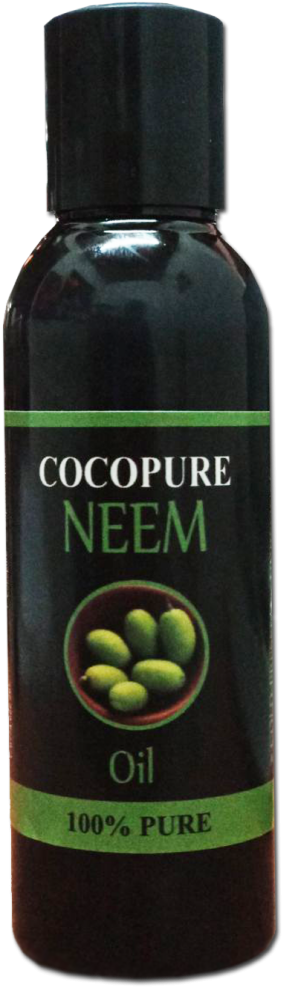 Olive Clipart (1024x1024), Png Download