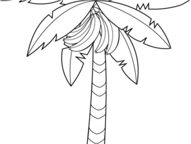 Banana Clipart Banana Tree - Drawing - Png Download (640x480), Png Download