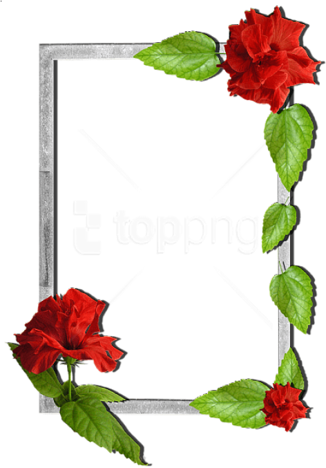Free Png Flowers Frame Background Best Stock Photos - Flower Frames Clipart (480x680), Png Download