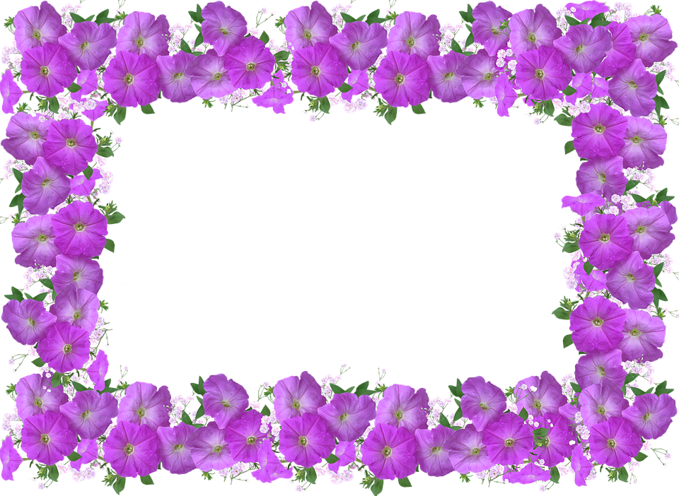 Frame, Border, Petunia, Floral Decoration - True Colors Immagini Di Buon Giorno Clipart (960x702), Png Download