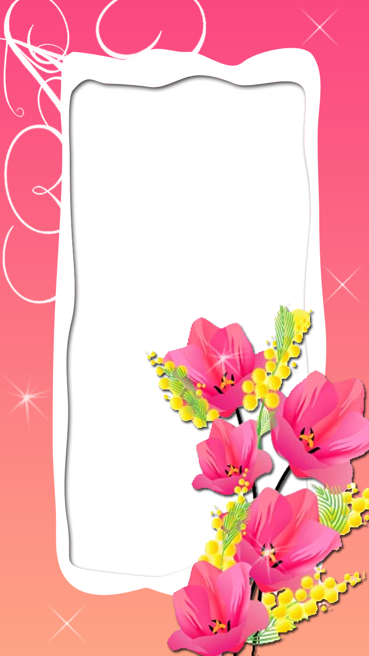Lovely Pink Flower Frame - Цветы Вектор Clipart (720x1280), Png Download