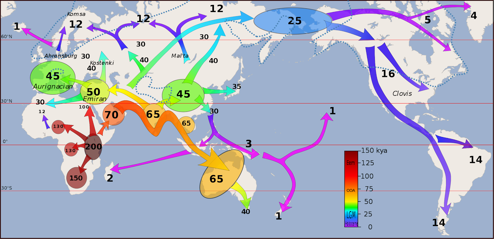 Map Showing The Movement Of Early Humans Clipart (1600x776), Png Download