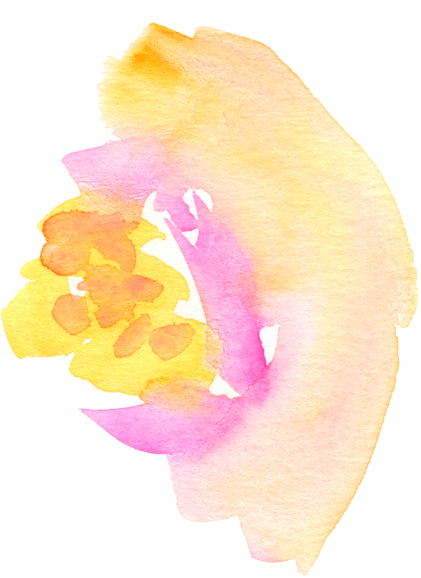 Free Fall Watercolor Floral Clip Art So Pretty - Png Download (1452x1944), Png Download