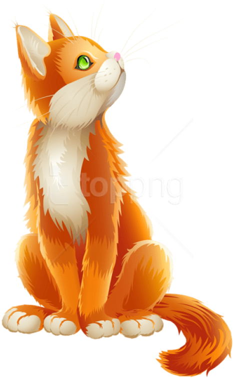 Free Png Download Orange Cat Cartoon Transparent Clipart - Transparent Background Cat Clip Art (480x762), Png Download