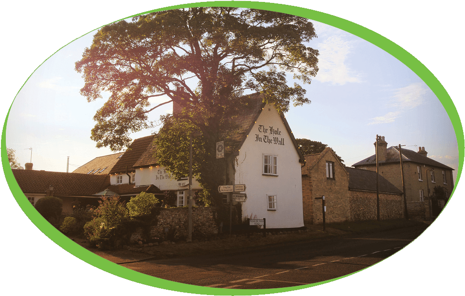 Tree Clipart (992x642), Png Download