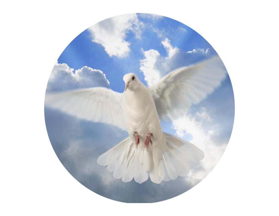 Holy Spirit Dove , Png Download Clipart (929x719), Png Download