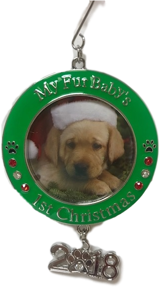 Pet's First Christmas - Dachshund Clipart (480x640), Png Download