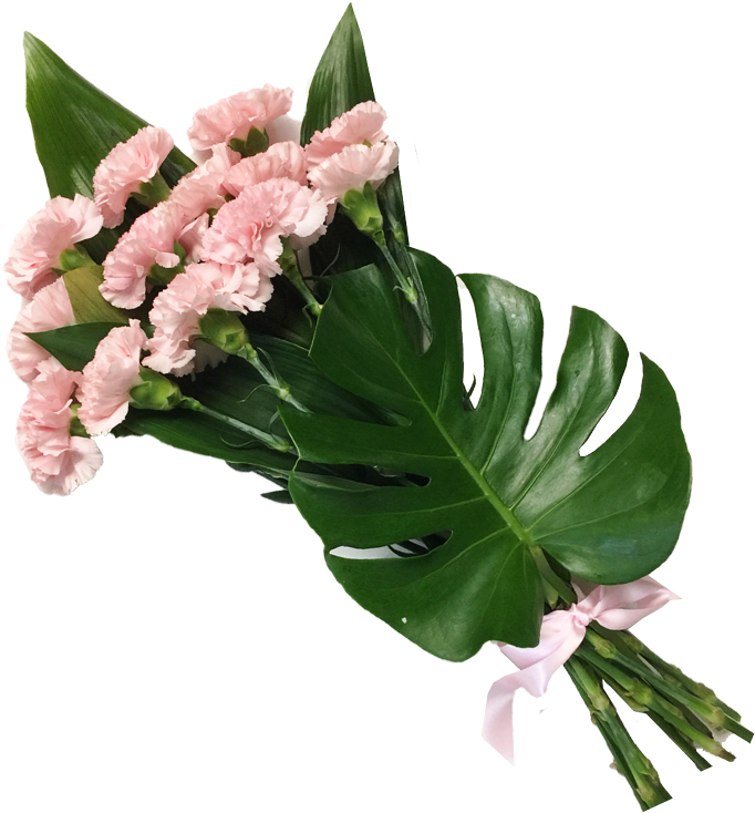 Carnation , Png Download - Bouquet Clipart (682x734), Png Download