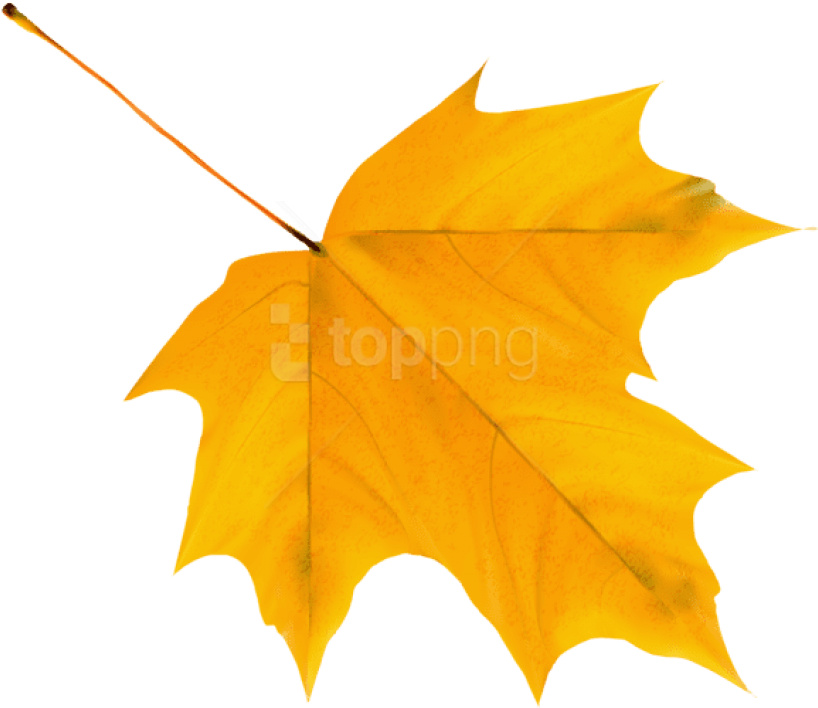 Free Png Download Yellow Autumn Leaf Clipart Png Photo - Autumn Leaves Clipart Png Transparent Png (850x733), Png Download