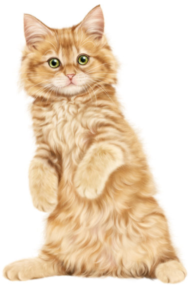 Kittens Clipart Transparent Background - Png Download (600x600), Png Download